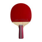 DHS 4 Star Table Tennis Racket